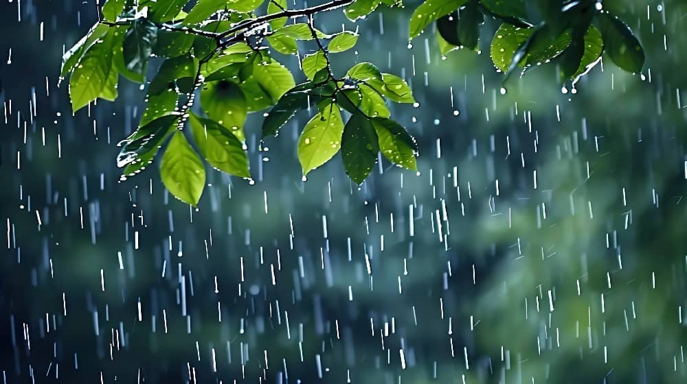 中东部迎大范围降水 河南山东或现暴雨